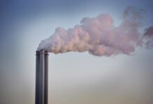 maribor junija pred zgodovinsko odlocitvijo o sezigalnici 69eb3f35a1afa 1777024821