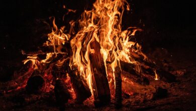 maribor ozivi praznicno vzdusje in dogodki konec aprila 69e91acc1526f 1776884428