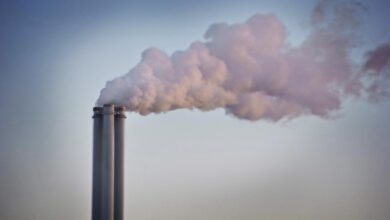 maribor pred kljucno odlocitvijo referendumski glas o sezigalnici 69d948c741f72 1775847623