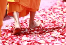 nepricakovana aretacija menihov na srilanki zaradi tihotapljenja konoplje 69f22b19c10b8 1777478425