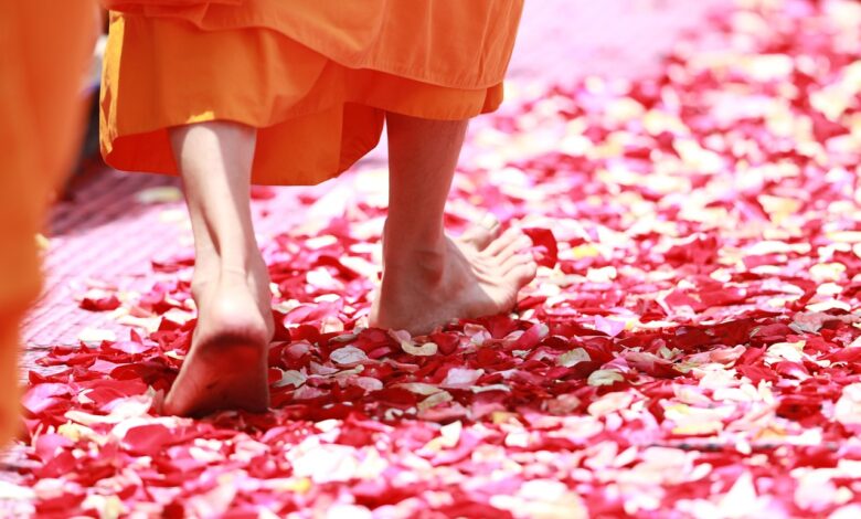 nepricakovana aretacija menihov na srilanki zaradi tihotapljenja konoplje 69f22b19c10b8 1777478425