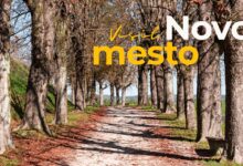 novo mesto praznuje dan zemlje skupaj za trajnostni razvoj foto 69ea5e3fb9854 1776967231