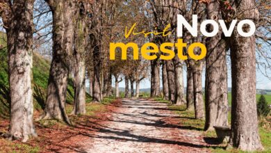 novo mesto praznuje dan zemlje skupaj za trajnostni razvoj foto 69ea5e3fb9854 1776967231