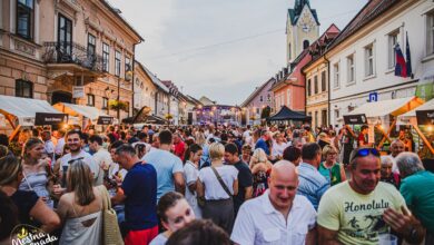 novo nakupovalno sredisce v brezicah obeta preobrazbo mesteca 69ec58811c91f 1777096833