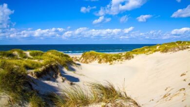 obcina izola naznanila veliko drazbo nepremicnin 2026 69e63180ad9ff 1776693632