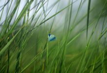 odpadki se vedno izziv za zelene straze na os otocec 69e9b58465a80 1776924036