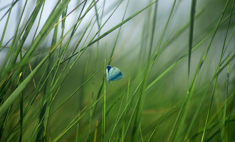 odpadki se vedno izziv za zelene straze na os otocec 69e9b58465a80 1776924036