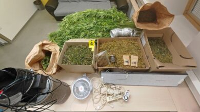 Policija na Viču razkrila skrivnostno konopljino pridelavo 3 policija na vicu razkrila skrivnostno konopljino pridelavo 69e0b32f6c6db 1776333615