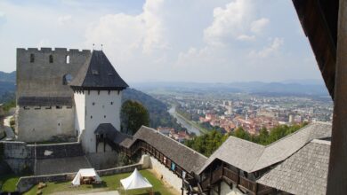 porast parkinsonove bolezni v sloveniji celjski grad v modrem 69da45e8dc3f8 1775912424