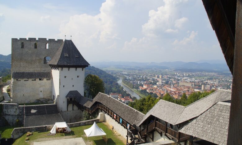 porast parkinsonove bolezni v sloveniji celjski grad v modrem 69da45e8dc3f8 1775912424