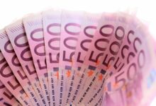 poslovnez iz trsta po nesreci odvrgel 7000 evrov v smeti 69e9d19be88be 1776931227