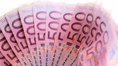 poslovnez iz trsta po nesreci odvrgel 7000 evrov v smeti 69e9d19be88be 1776931227