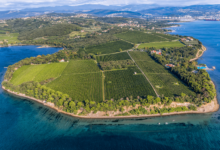 prenovljena policijska plaza na debelem rticu vabi z novostmi 69e48b99beb86 1776585625