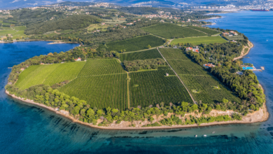 prenovljena policijska plaza na debelem rticu vabi z novostmi 69e48b99beb86 1776585625