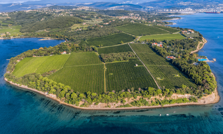 prenovljena policijska plaza na debelem rticu vabi z novostmi 69e48b99beb86 1776585625