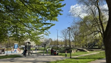 prenovljeni bloudkov park vabi druzine v srce ljubljane foto 69dde5ff86045 1776150015
