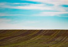 prodajate zemljisce uprite se spekulantom z nasimi nasveti 69e8c66bd3a50 1776862827