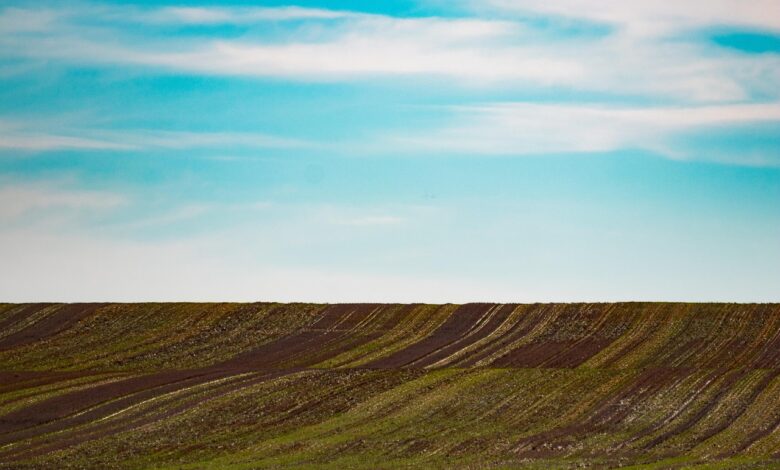 prodajate zemljisce uprite se spekulantom z nasimi nasveti 69e8c66bd3a50 1776862827