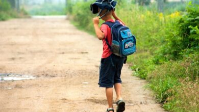 prvosolcki v lukovici zastrupljeni s strupenimi rastlinami 69e9c37e55a79 1776927614