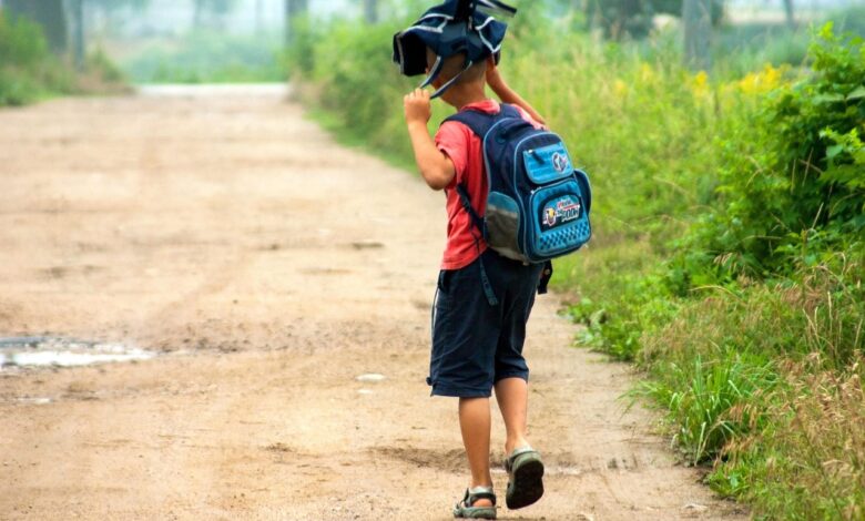 prvosolcki v lukovici zastrupljeni s strupenimi rastlinami 69e9c37e55a79 1776927614