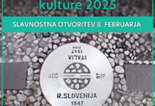 referendum na obzorju kulturni dom proti zavodu go2025 69e115b02731b 1776358832