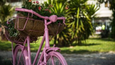 revolucija na dveh kolesih apple maps prinasa navigacijo za kolesarje v ljubljani 69d3ca82c1a43 1775487618