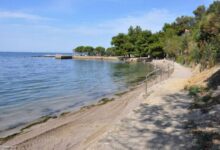 simbolicna zasaditev cesnje kot opomnik naravne moci 69e9fbcfbd2c1 1776942031