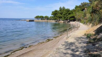 simbolicna zasaditev cesnje kot opomnik naravne moci 69e9fbcfbd2c1 1776942031