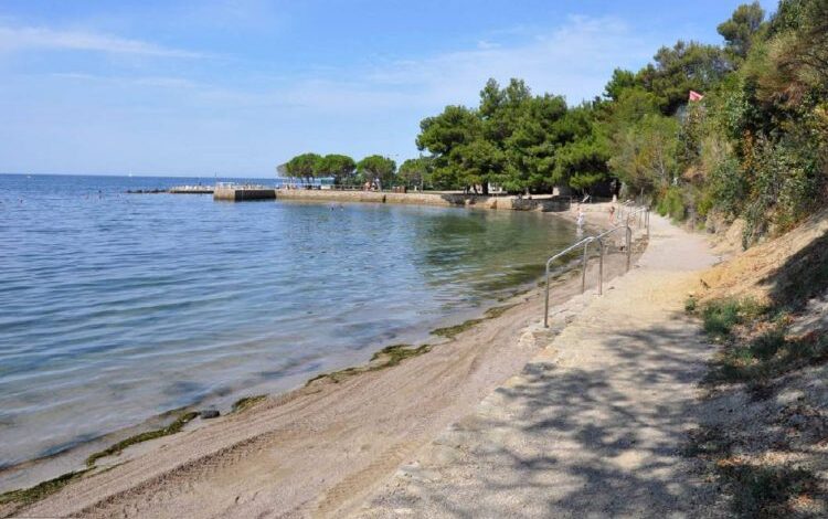 simbolicna zasaditev cesnje kot opomnik naravne moci 69e9fbcfbd2c1 1776942031