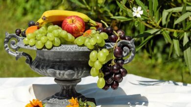 stoletna dediscina skupne lastnine na trzaskem ozivlja z novimi srecanji 69e8801ccd808 1776844828