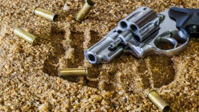 streljanje na proslavi osvoboditve dve osebi ranjeni 21 letnik pridrzan 69f1e4da53eb1 1777460442