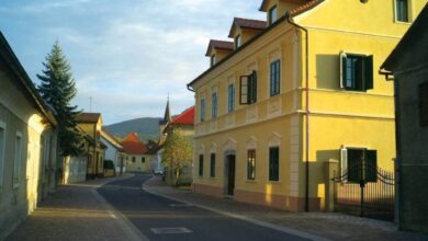 tradicionalno srecanje starejsih v kostanjevici navdusilo z obilo smeha in glasbe 69f0a15f24a02 1777377631