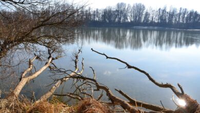 tragedija ob dravi nesreca v smolniku pretresla slovenijo 69ce1405db69b 1775113221