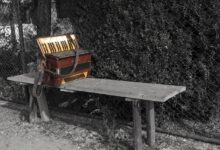 velenje cilja na guinnessov rekord z 5 500 harmonikarji 69e6236b181ee 1776690027