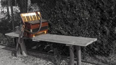 velenje cilja na guinnessov rekord z 5 500 harmonikarji 69e6236b181ee 1776690027