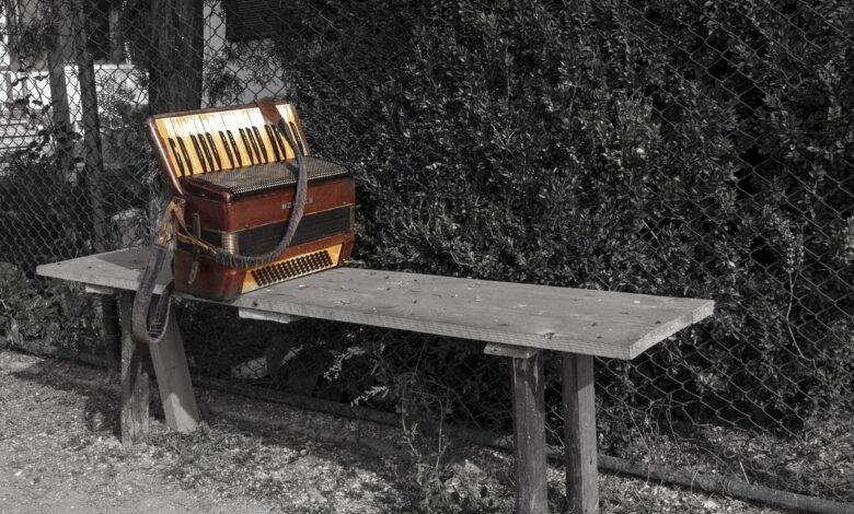 velenje cilja na guinnessov rekord z 5 500 harmonikarji 69e6236b181ee 1776690027