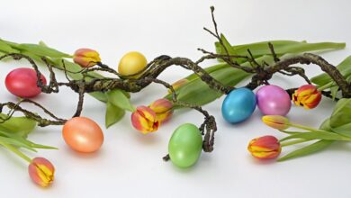 velika noc koliko nas bodo stale velikonocne dobrote letos 69ccdeb35b295 1775034035