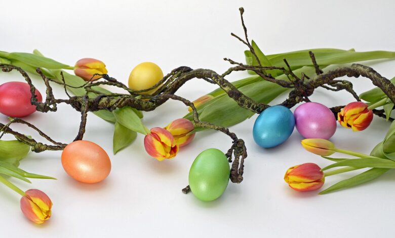 velika noc koliko nas bodo stale velikonocne dobrote letos 69ccdeb35b295 1775034035