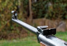 veterani blesteli na strelskem tekmovanju v gorjancih 69e63f93c8cb5 1776697235