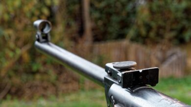 veterani blesteli na strelskem tekmovanju v gorjancih 69e63f93c8cb5 1776697235