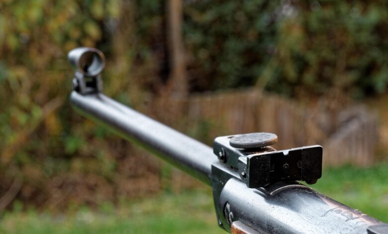 veterani blesteli na strelskem tekmovanju v gorjancih 69e63f93c8cb5 1776697235