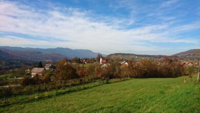 veterani dolenjske vojne zdruzeni na nostalgicnem pohodu 69e499add620f 1776589229