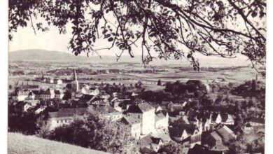 vuzem v metliki ozivitev tradicije s plesi in igrami foto 69d49d8294f56 1775541634