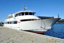 zeleni delfin prinasa novo morsko povezavo od trsta do lignana 69e4d1dfb0bc8 1776603615