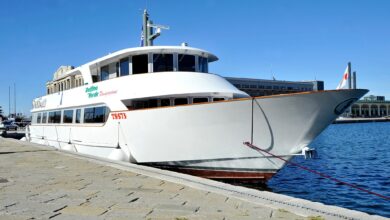 zeleni delfin prinasa novo morsko povezavo od trsta do lignana 69e4d1dfb0bc8 1776603615