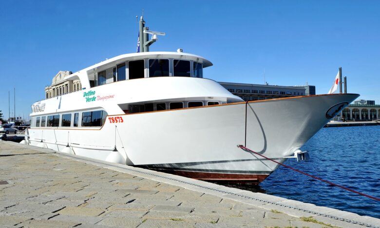 zeleni delfin prinasa novo morsko povezavo od trsta do lignana 69e4d1dfb0bc8 1776603615