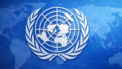 zgodovinski uspeh slovenije dr pirtosek v vrhu strokovnjakov zn za clovekove pravice foto 69ccecb8e6523 1775037624