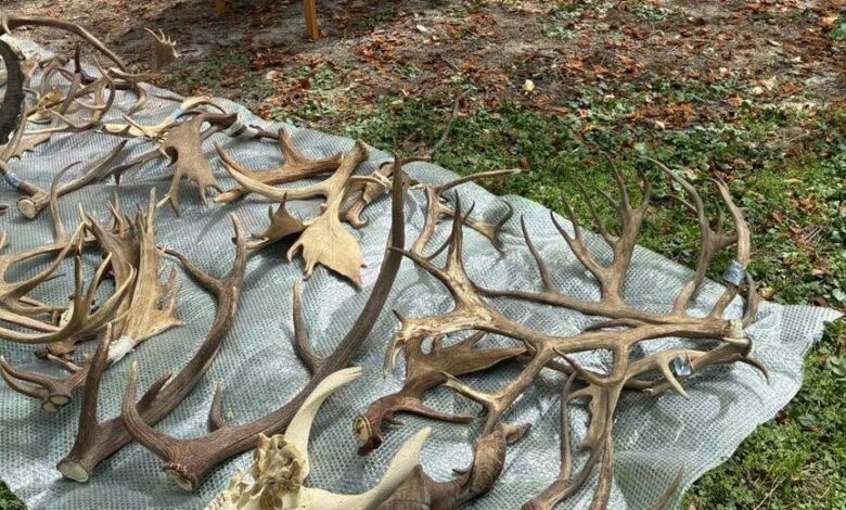 zoo ljubljana in muzej zdruzujeta moci za ohranjanje narave 69e74aafaad93 1776765615