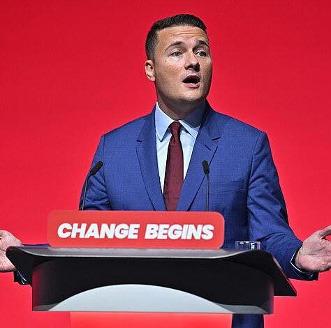 Wes Streeting stran fb
