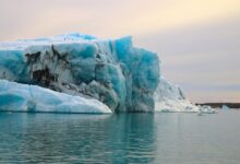 arctic